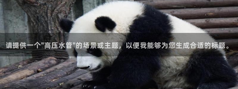 天辰娱乐的网址首页