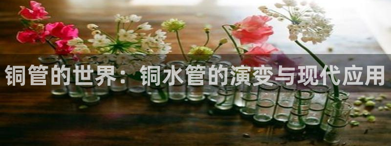 天辰娱乐 天辰平台