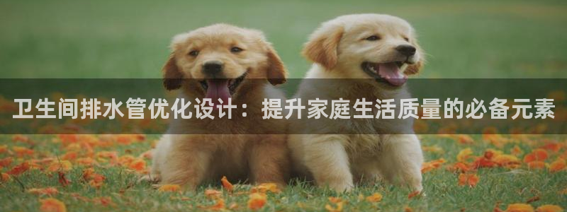 天辰娱乐十分彩