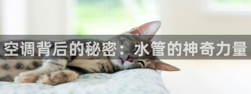 天辰娱乐台湾