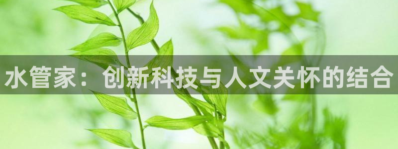 天辰娱乐服务