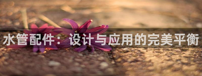 天辰娱乐总管