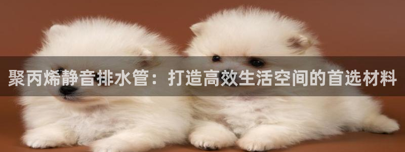 天辰娱乐2