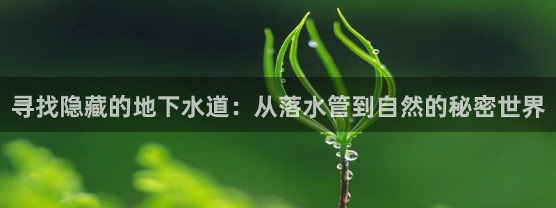 天辰娱乐上级