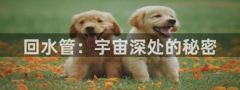 桂林天辰娱乐