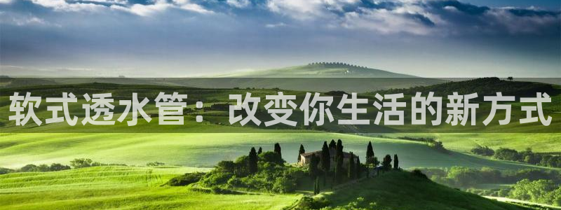 天辰娱乐股东