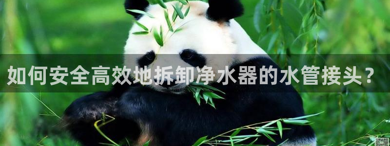 天辰宝娱乐
