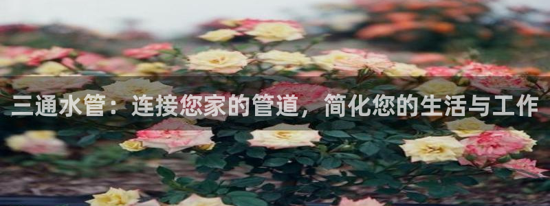 天辰娱乐53551