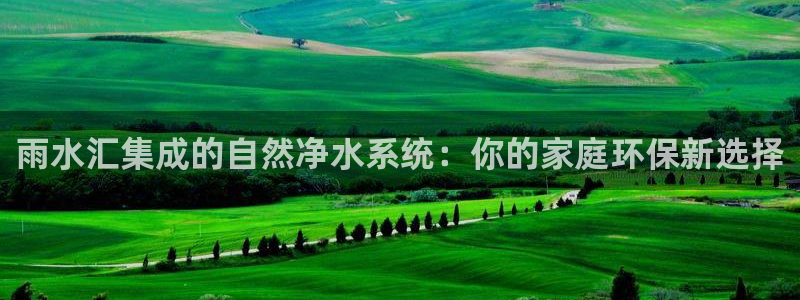 天辰娱乐老板
