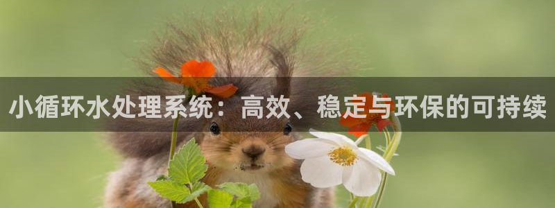 天辰娱乐说