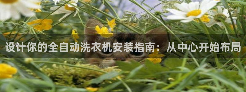 天辰娱乐跑的快