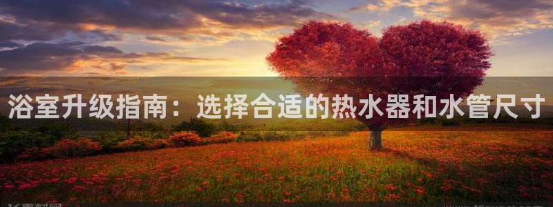 天辰娱乐675138