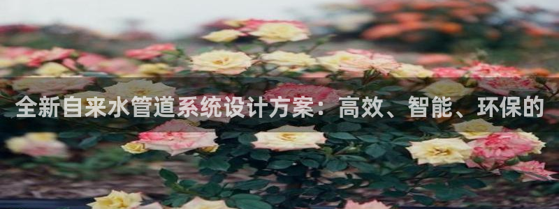 天辰彩票娱乐