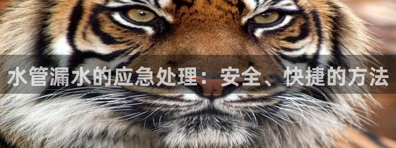 天辰娱乐下载地址