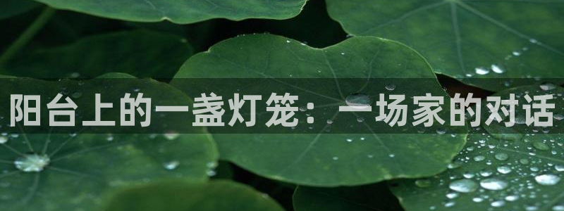 天辰娱乐下载链接