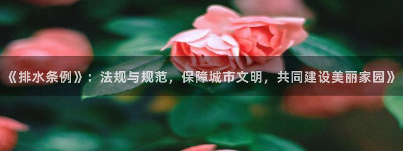 天辰娱乐-18113