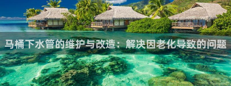 天辰娱乐ttf