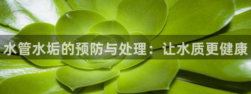 天辰娱乐天辰注册登录