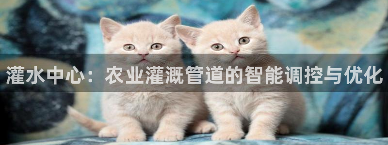 天辰娱乐娱乐平台