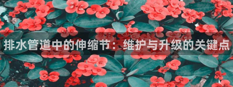 天富娱乐天辰娱乐