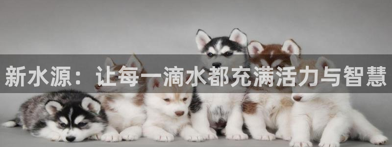 天辰娱乐跑的快