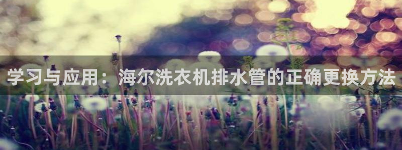 天辰团队贝高娱乐