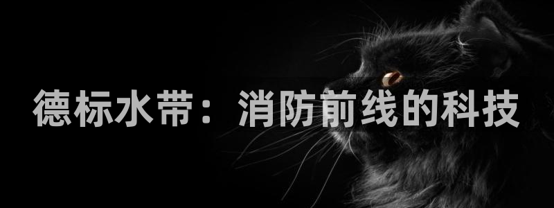 天辰娱乐平台娱乐注册