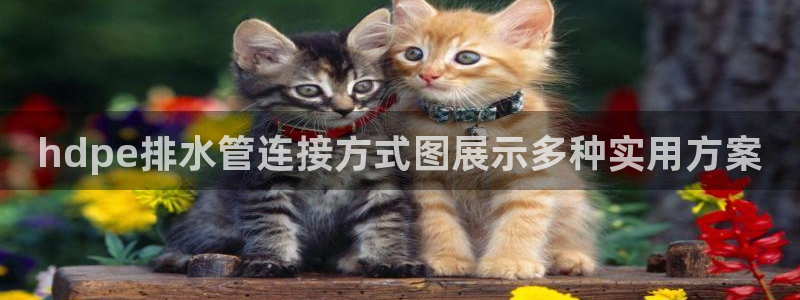 天辰娱乐官方登录入口