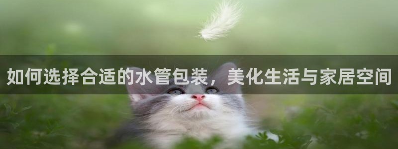 天辰娱乐主页