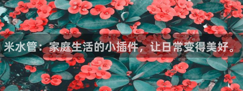 天辰娱乐下载