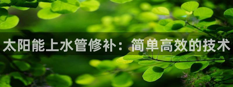 天辰娱乐直属