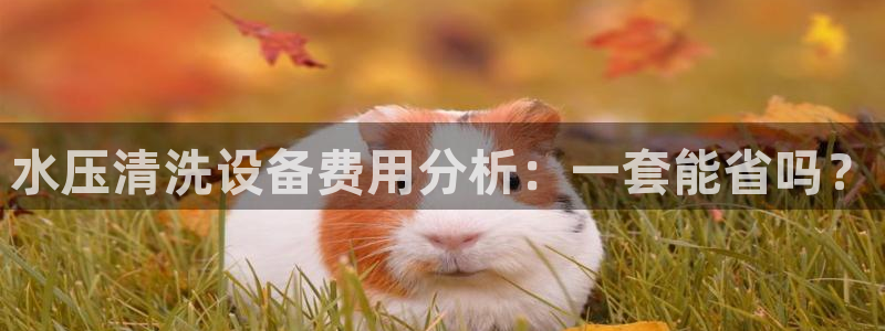 天辰宝宝娱乐