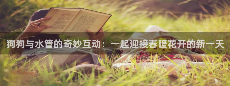 天辰娱乐平台娱乐注册