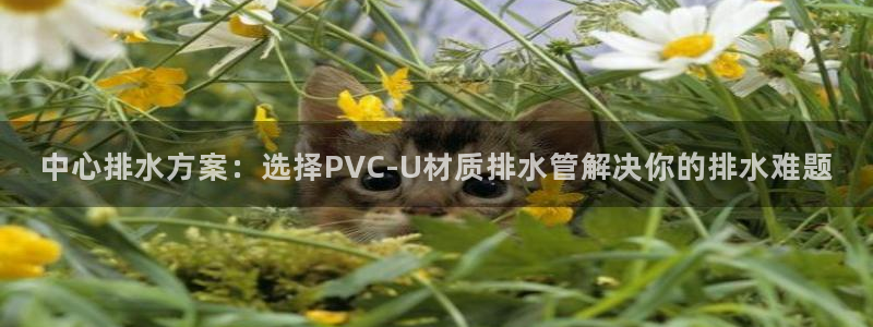 天辰娱乐 首选