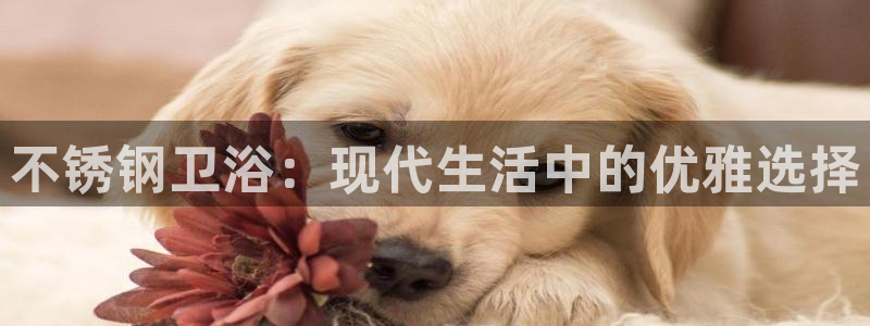 天辰娱乐输了
