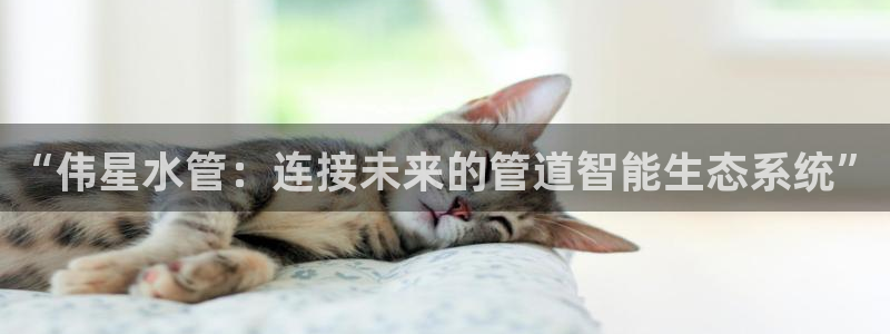 天辰娱乐app