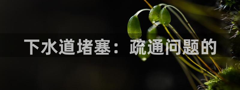 天辰娱乐官网