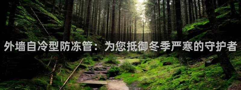天辰娱乐指定