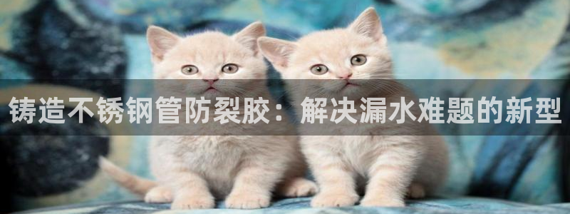 天辰a娱乐