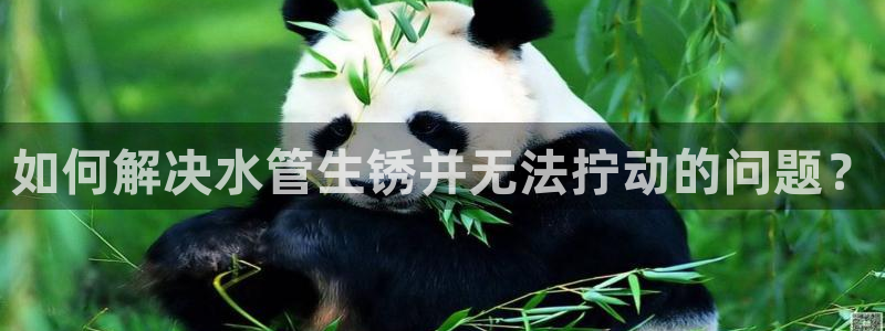 天辰娱乐主页