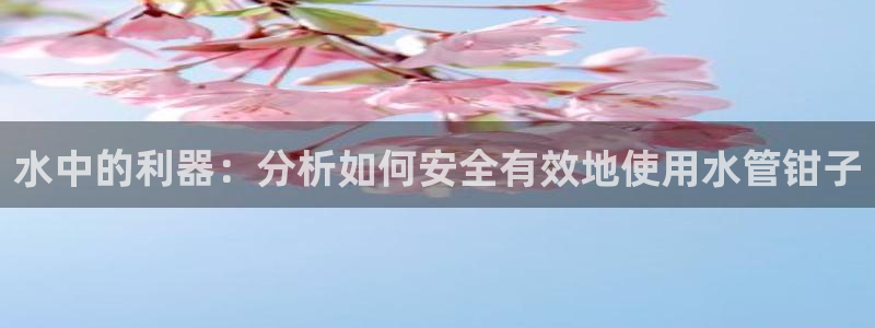 天辰娱乐平台