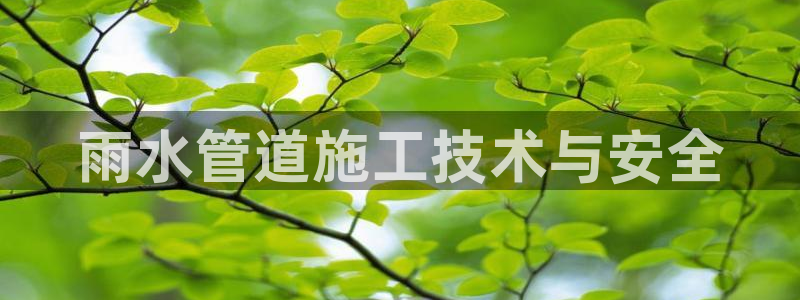 天辰娱乐入口