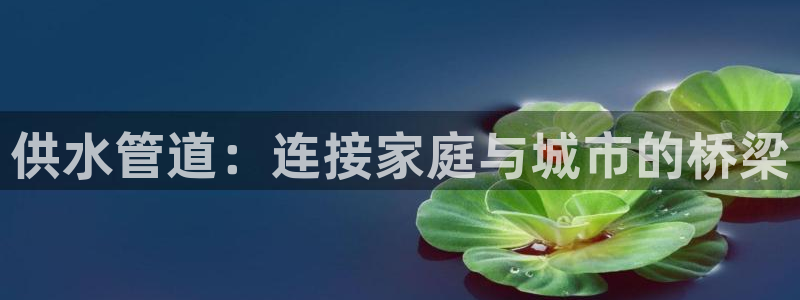 天辰娱乐入口