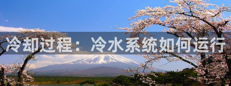 天辰娱乐平台