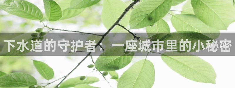 天辰娱乐官网平台入口