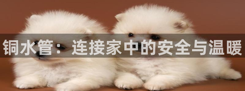 天辰娱乐分红
