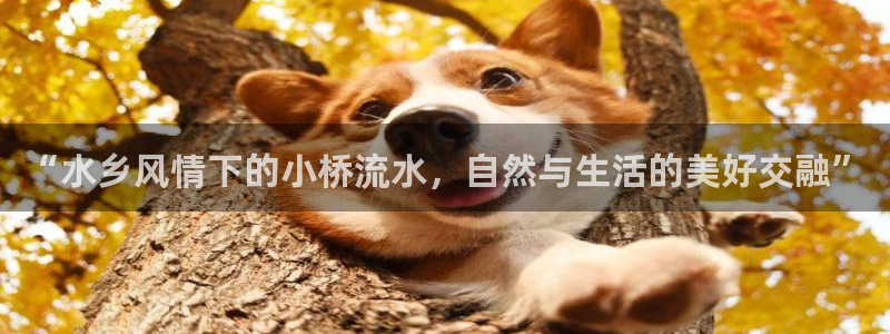 天辰娱乐下载地址