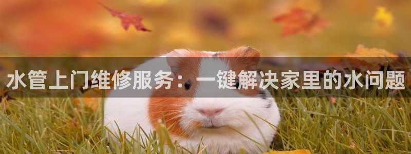 天辰娱乐官方登录入口