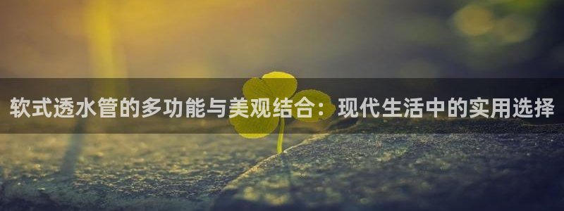 天辰娱乐60447
