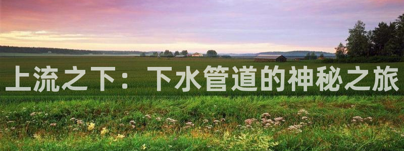 天辰娱乐39596